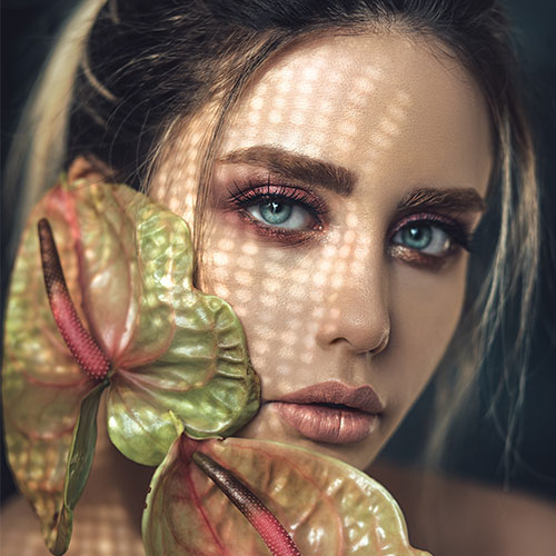 portfolio2